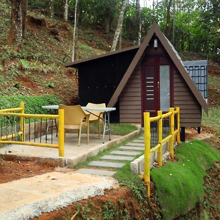 Garden Of Eden-Thottam Munnar-Hiking And Camping Anachal 外观 照片