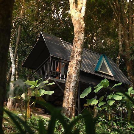 Garden Of Eden-Thottam Munnar-Hiking And Camping Anachal 外观 照片
