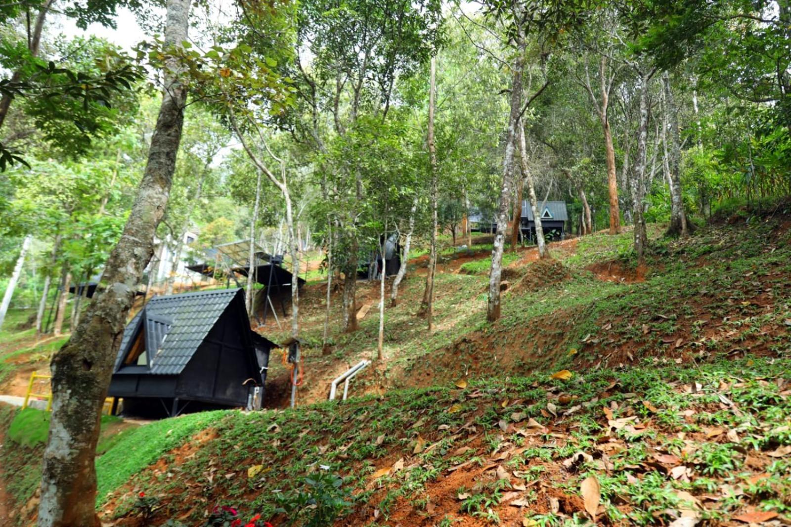 Garden Of Eden-Thottam Munnar-Hiking And Camping Anachal 外观 照片