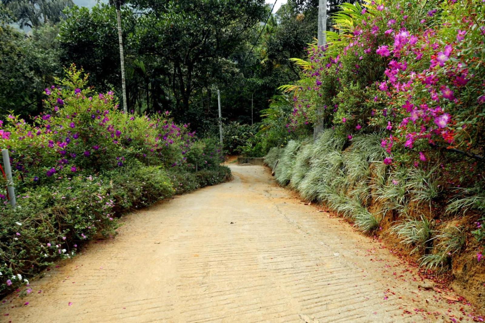 Garden Of Eden-Thottam Munnar-Hiking And Camping Anachal 外观 照片