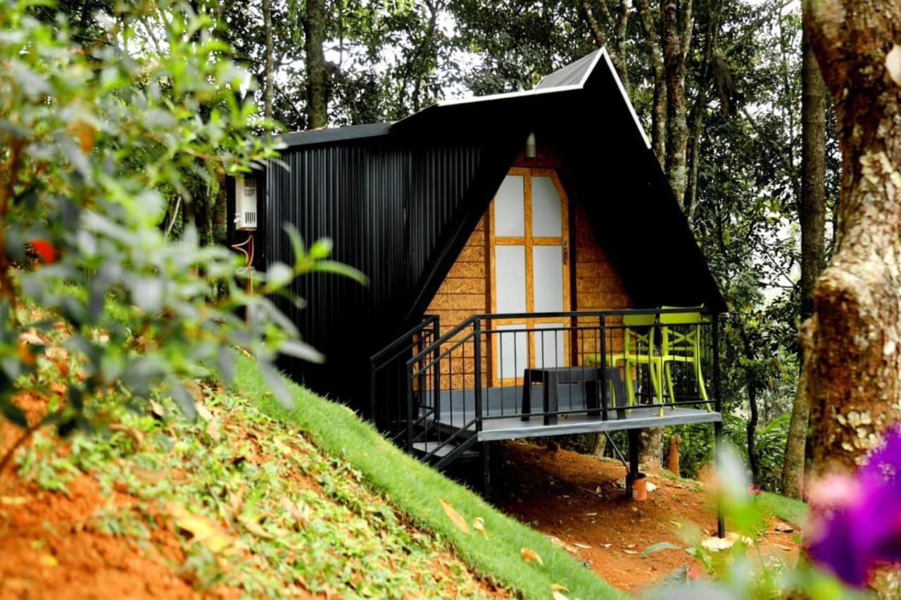 Garden Of Eden-Thottam Munnar-Hiking And Camping Anachal 外观 照片