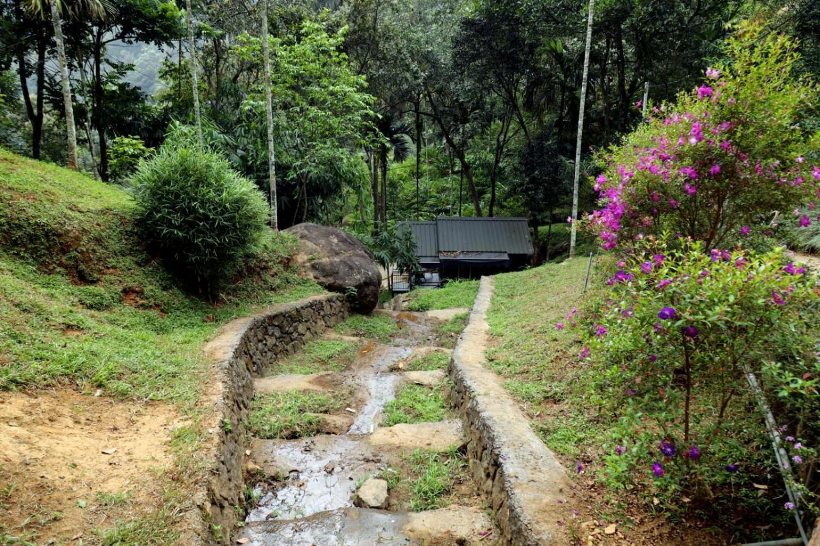 Garden Of Eden-Thottam Munnar-Hiking And Camping Anachal 外观 照片