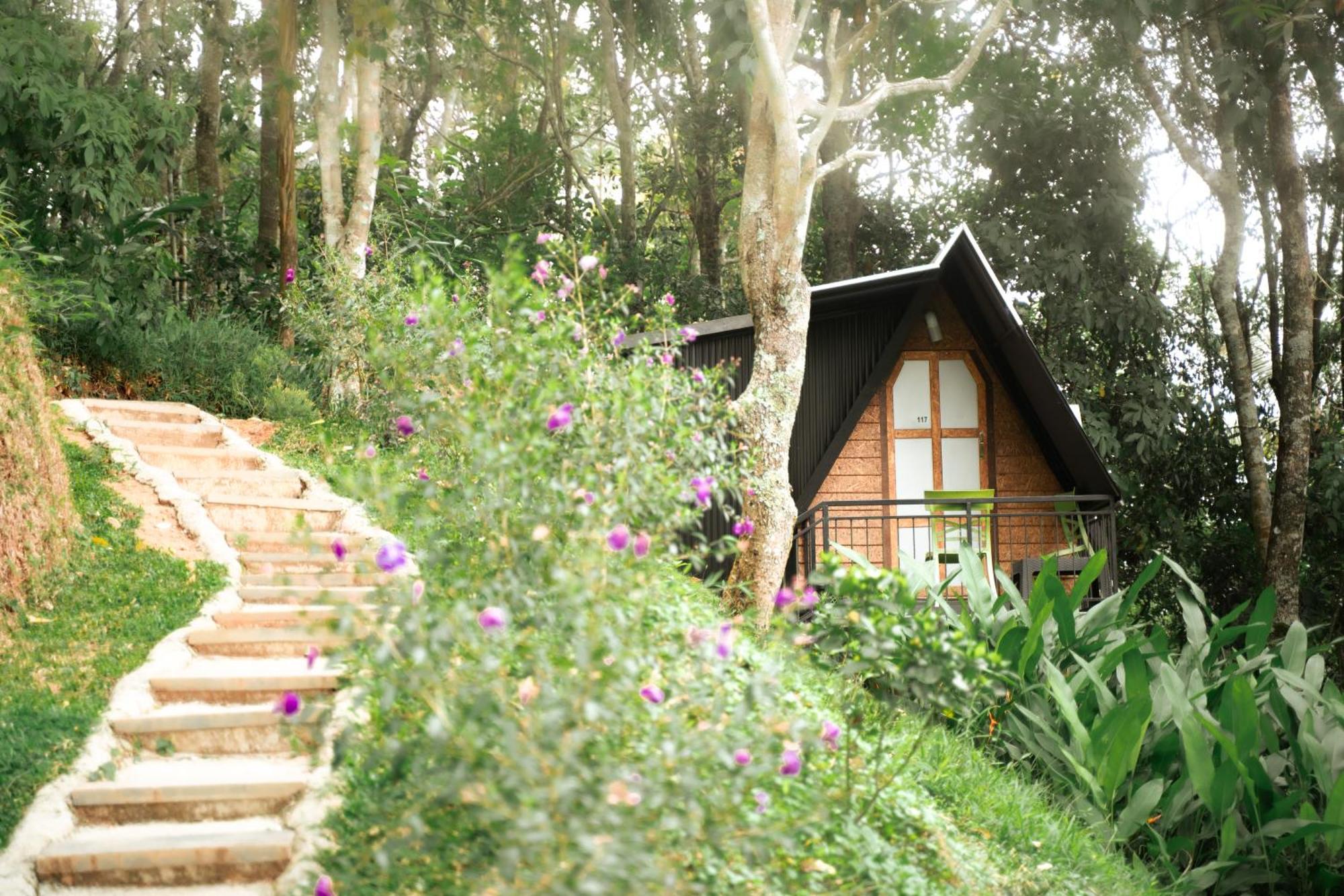 Garden Of Eden-Thottam Munnar-Hiking And Camping Anachal 外观 照片