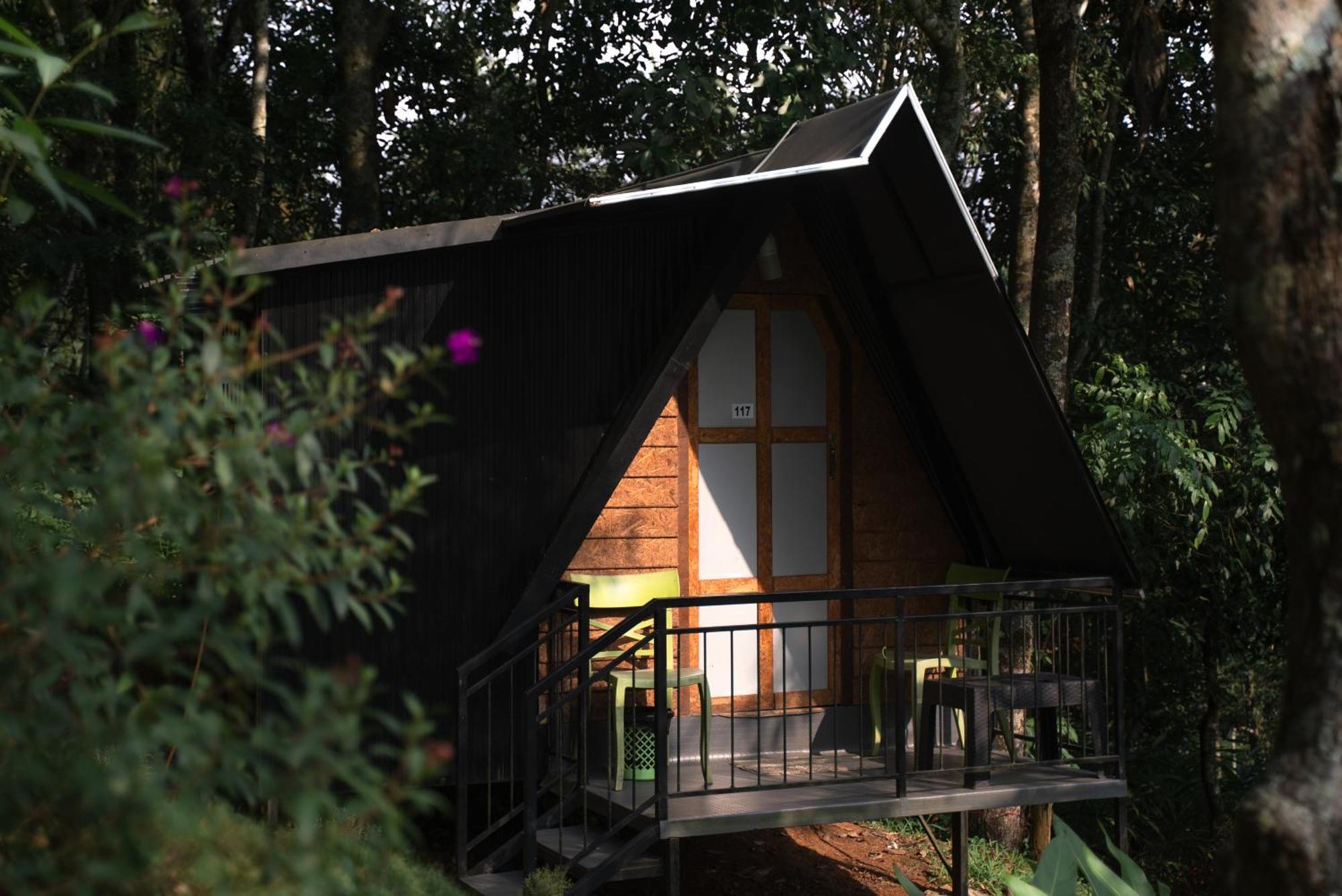 Garden Of Eden-Thottam Munnar-Hiking And Camping Anachal 外观 照片