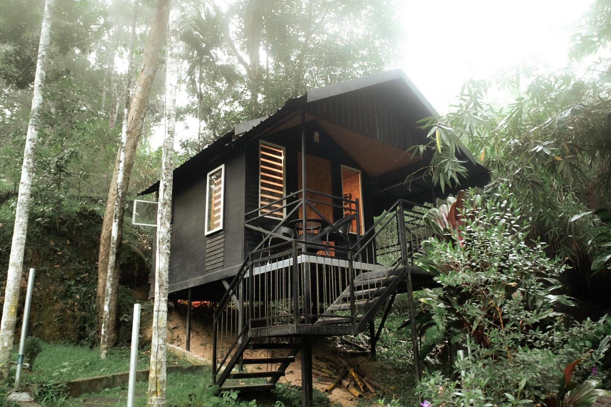 Garden Of Eden-Thottam Munnar-Hiking And Camping Anachal 外观 照片