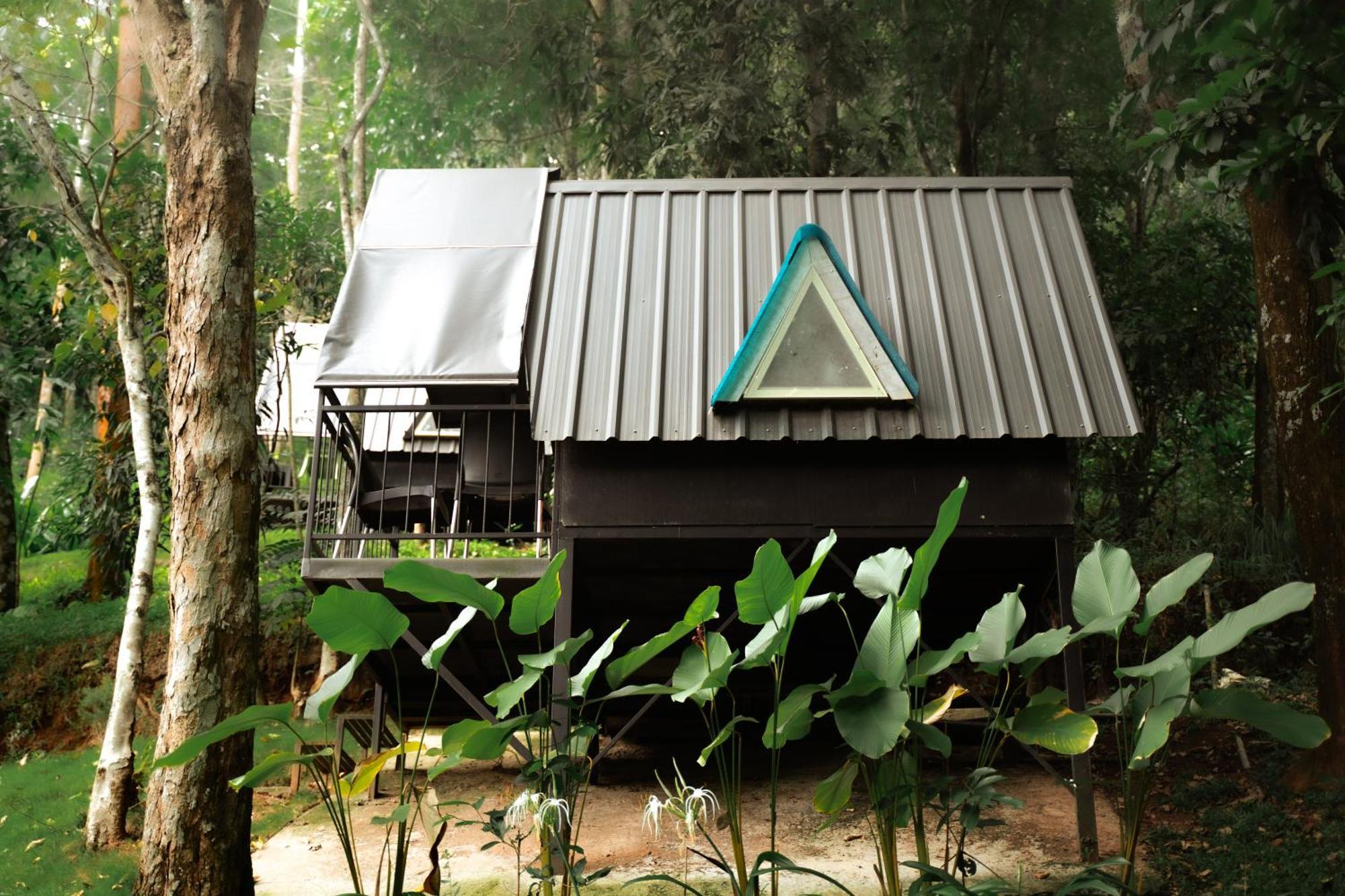 Garden Of Eden-Thottam Munnar-Hiking And Camping Anachal 外观 照片